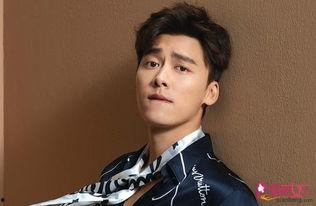 李易峰媒体爆料视频,娱乐圈幕后真相曝光